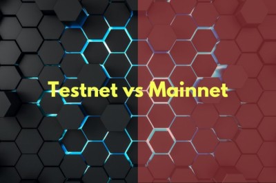 Testnet и Mainnet