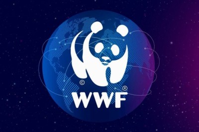 WWF запустил благотворительную блокчейн-платформу